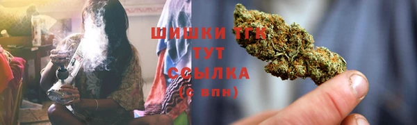 тгк Армянск