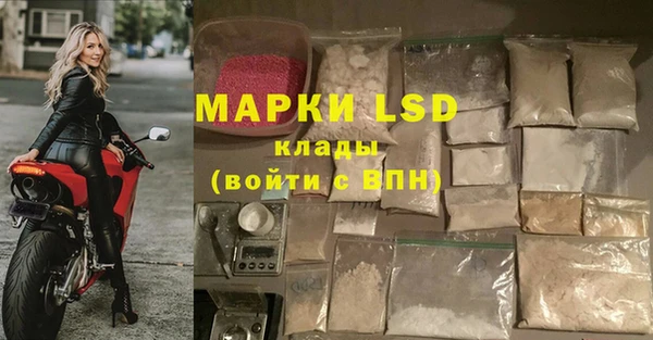 тгк Армянск