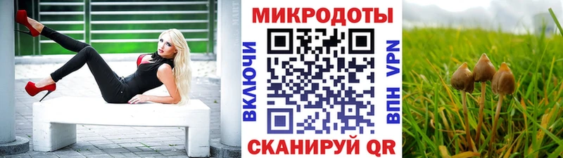 Галлюциногенные грибы Psilocybe  ОМГ ОМГ   Ленинск  даркнет сайт 